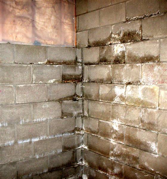 How To Fix A Wet Basement Pioneer, How To Treat A Damp Basement Wall
